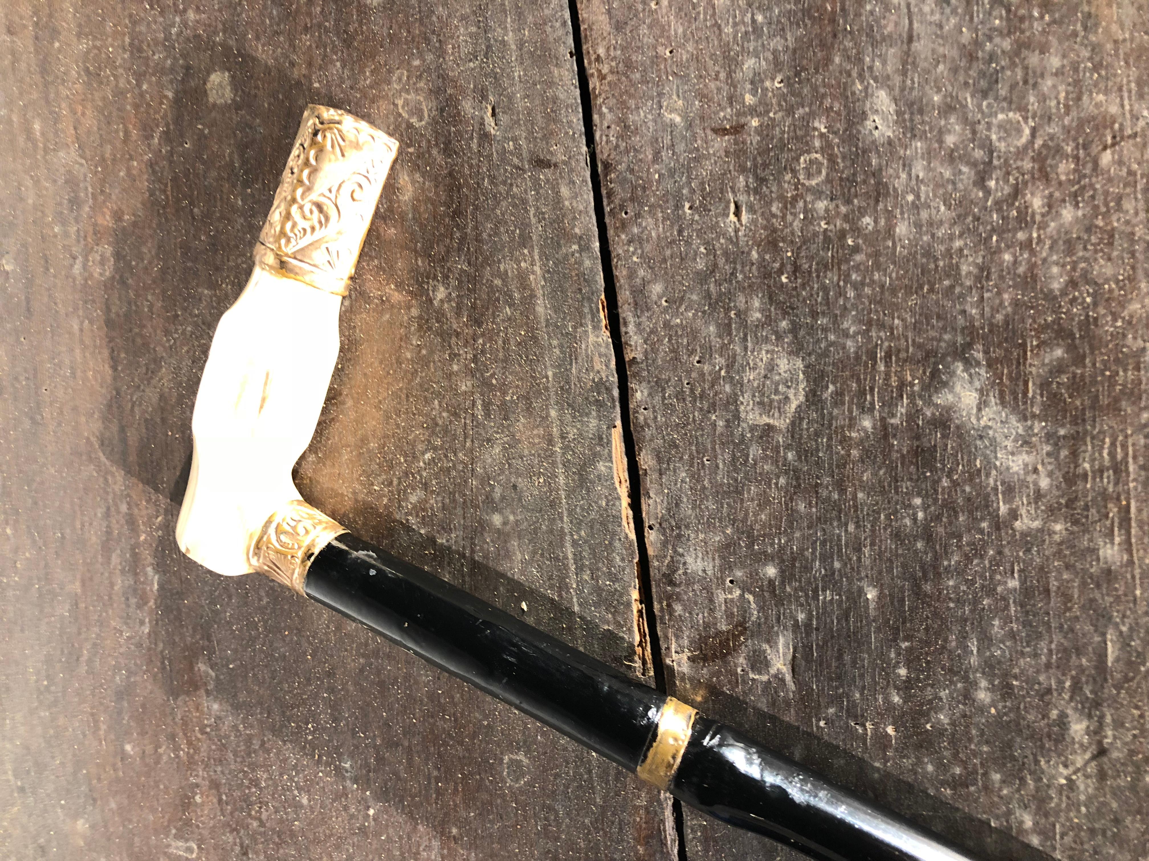 19th Century Walking Stick, Bone Handle at 1stDibs