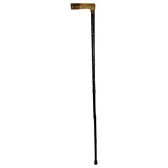 19th Century Walking Stick, Bone Handle