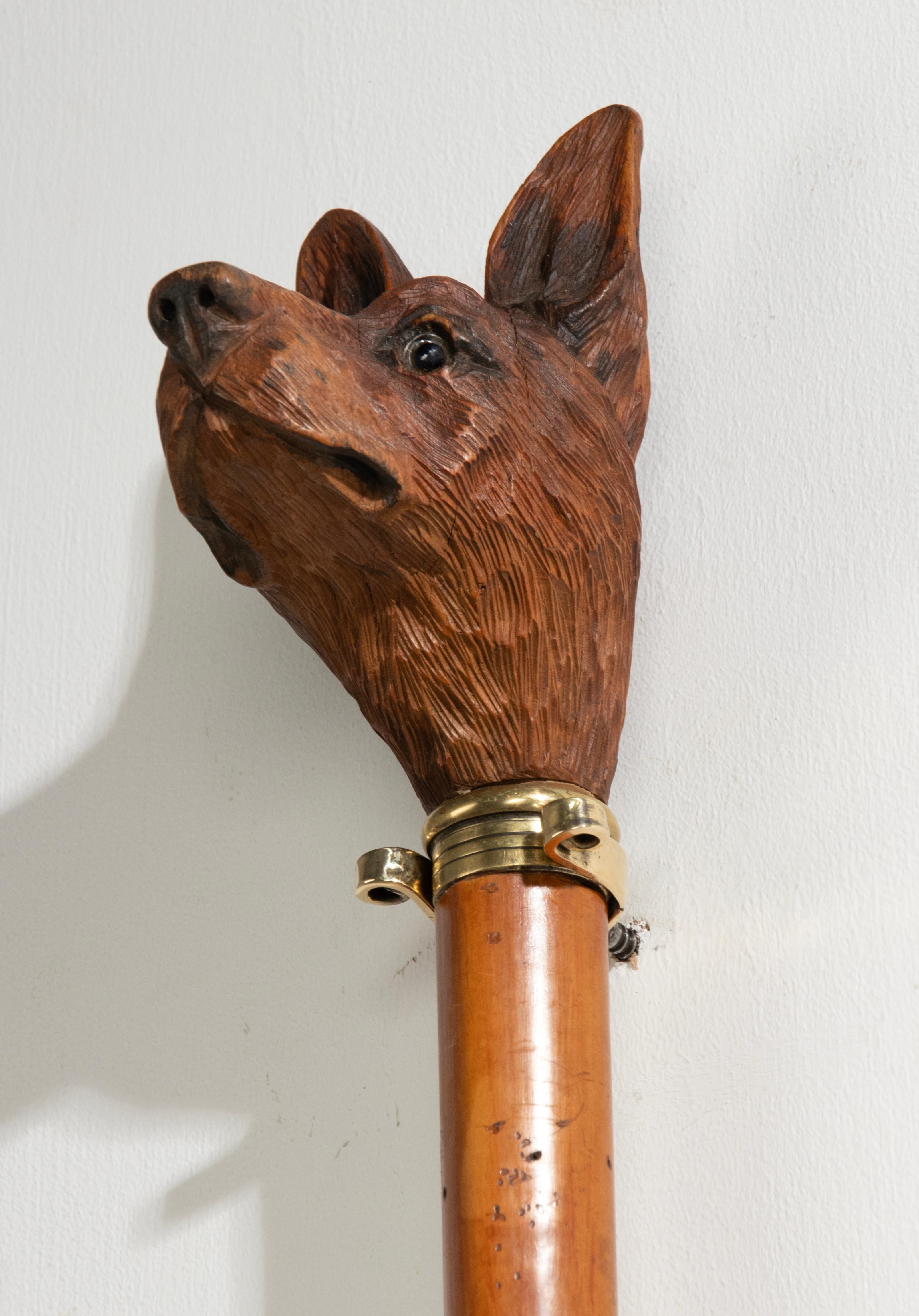 19th Century Walking Stick with a Black Forest Carved top Portrait of a Dog For Sale 3