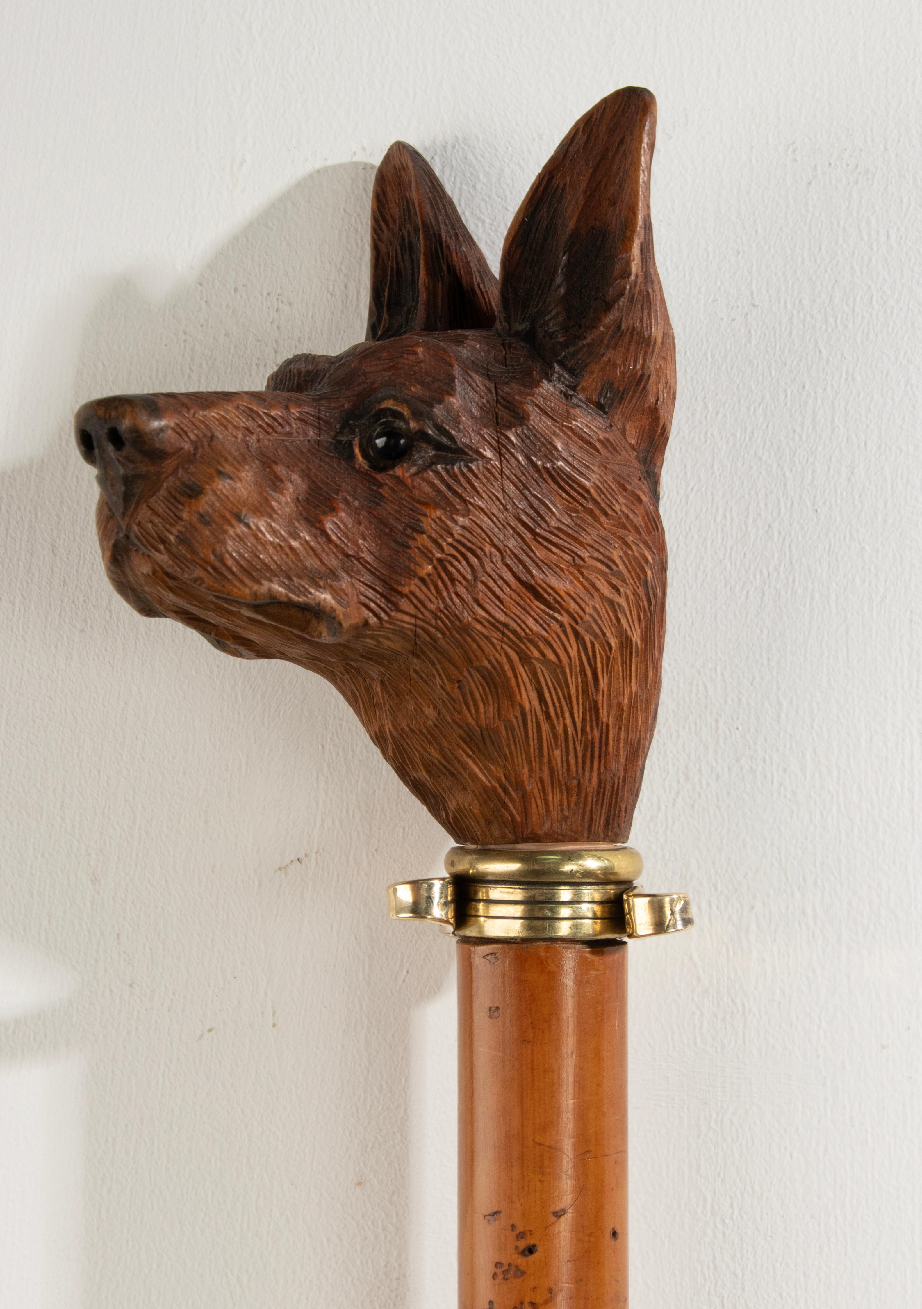 19th Century Walking Stick with a Black Forest Carved top Portrait of a Dog For Sale 7