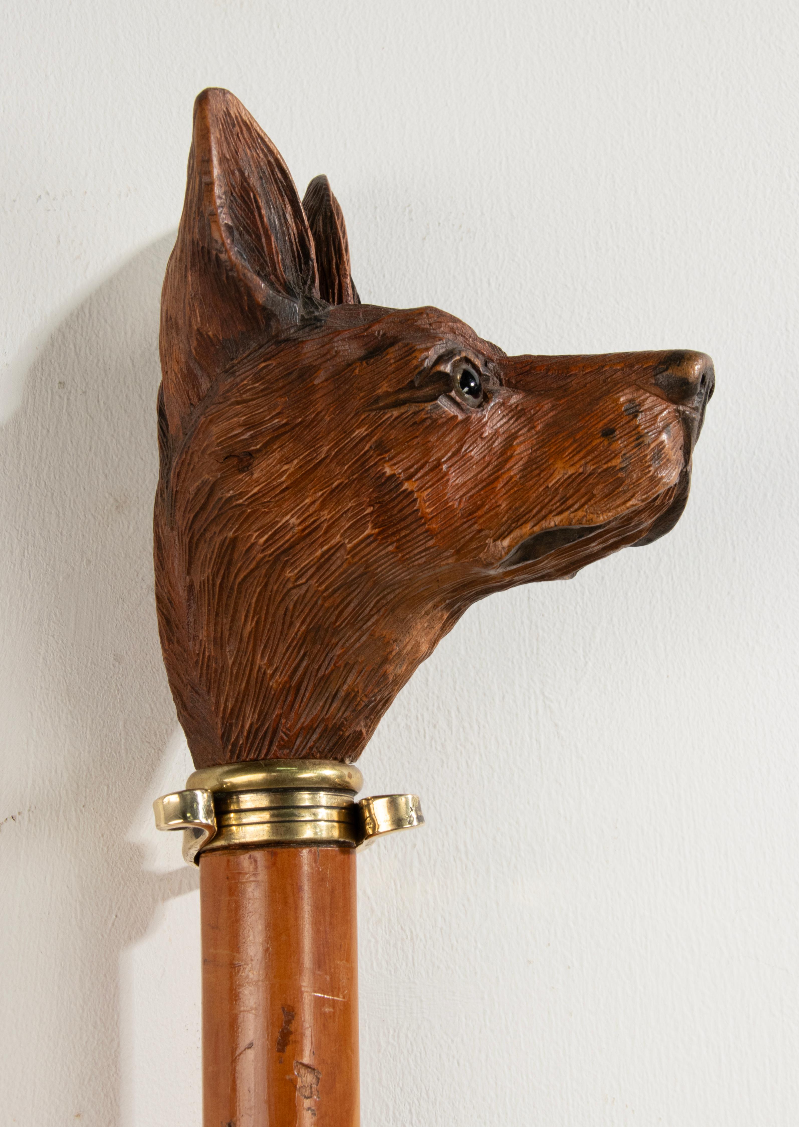 19th Century Walking Stick with a Black Forest Carved top Portrait of a Dog For Sale 9