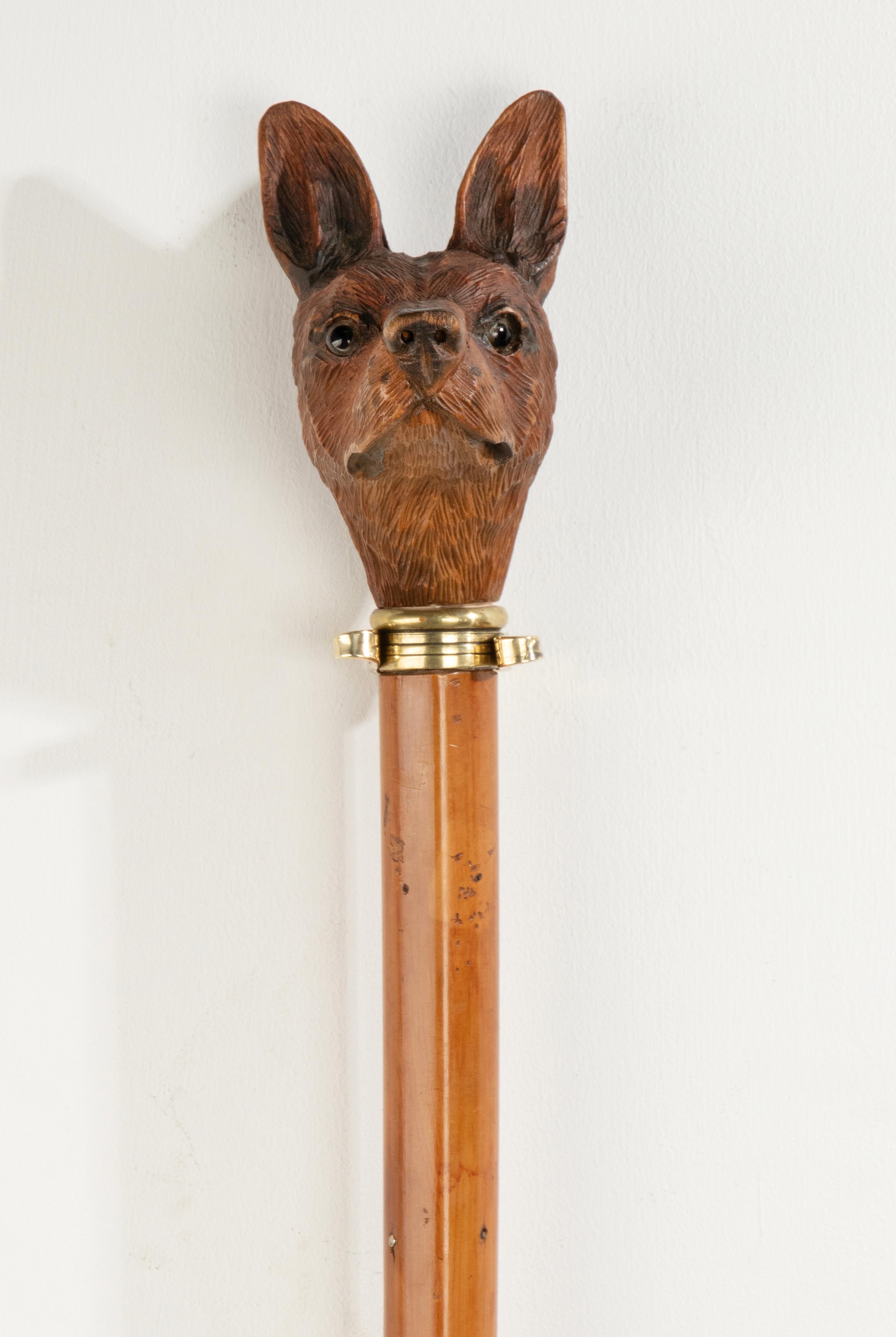 Hand-Carved 19th Century Walking Stick with a Black Forest Carved top Portrait of a Dog For Sale