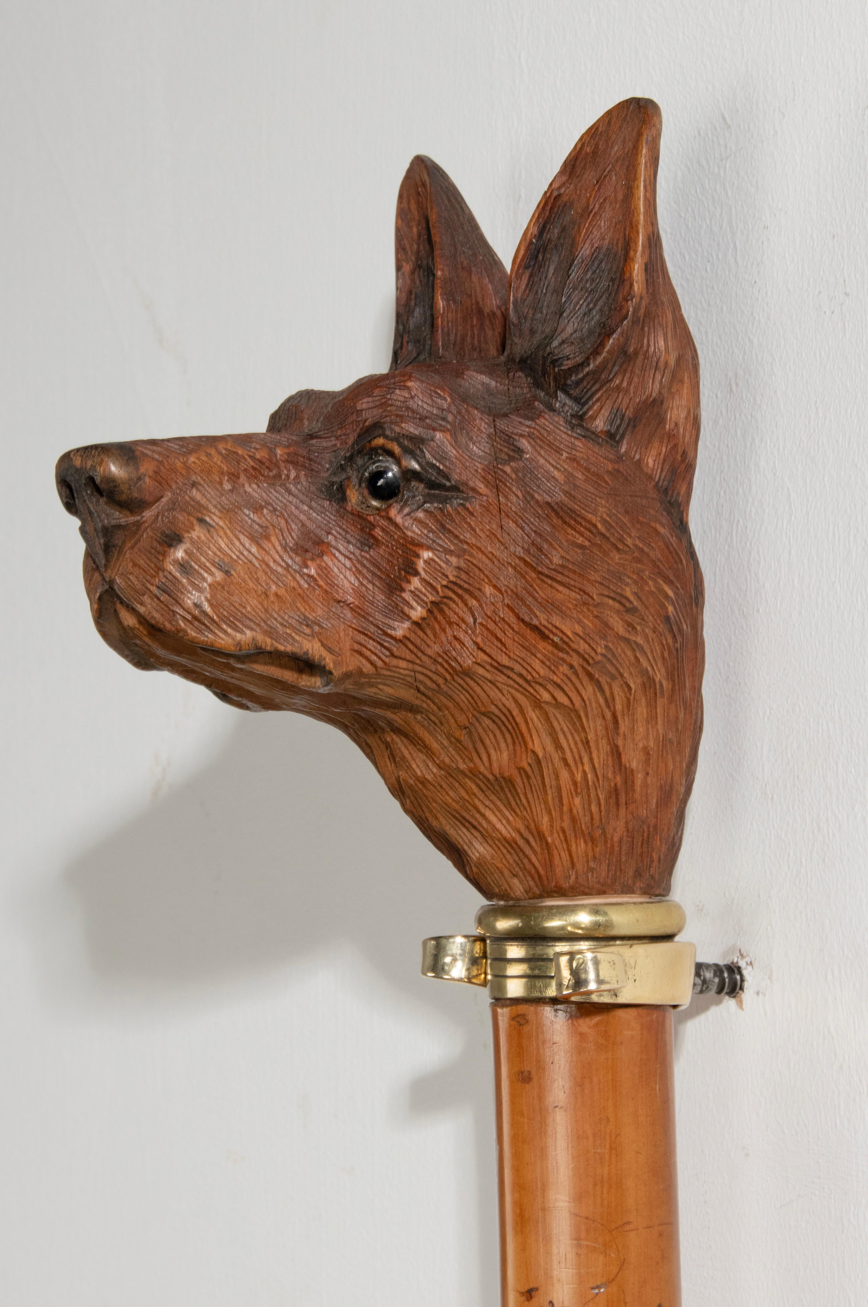 French 19th Century Walking Stick with a Black Forest Carved top Portrait of a Dog For Sale