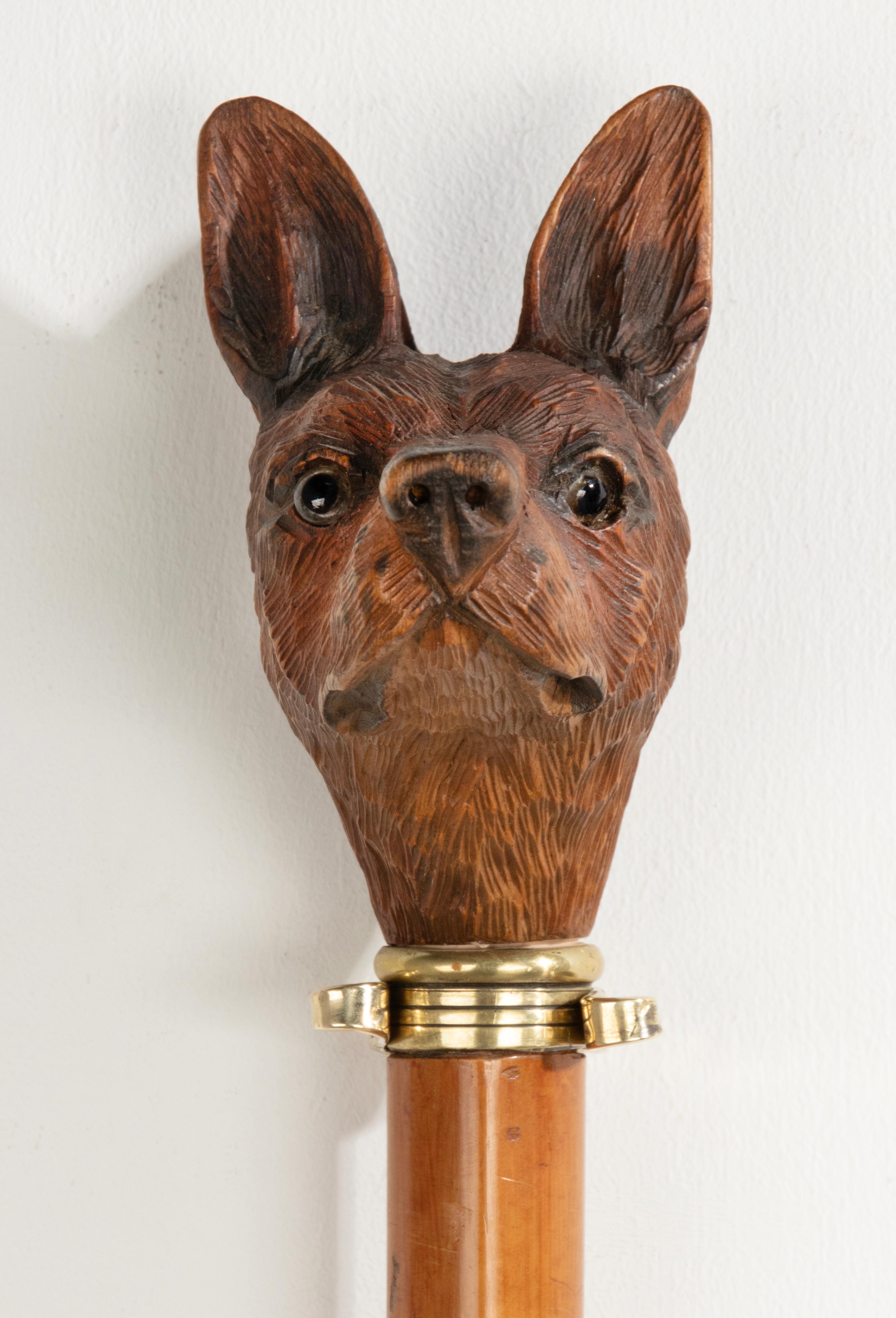 Sculpté à la main Bâton de marche du 19e siècle avec un portrait de chien sculpté sur le dessus en Black Forest en vente