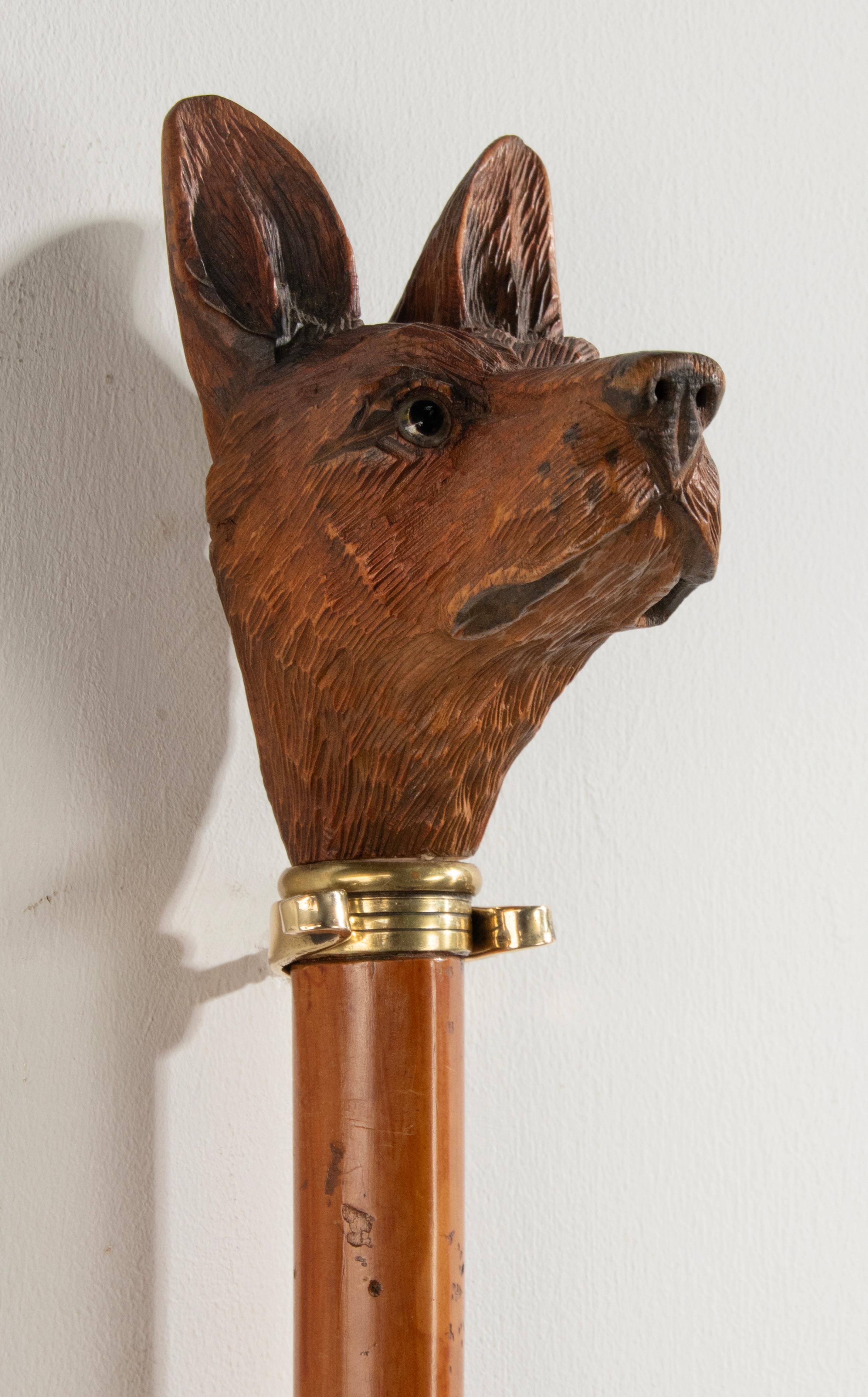 19th Century Walking Stick with a Black Forest Carved top Portrait of a Dog For Sale 1
