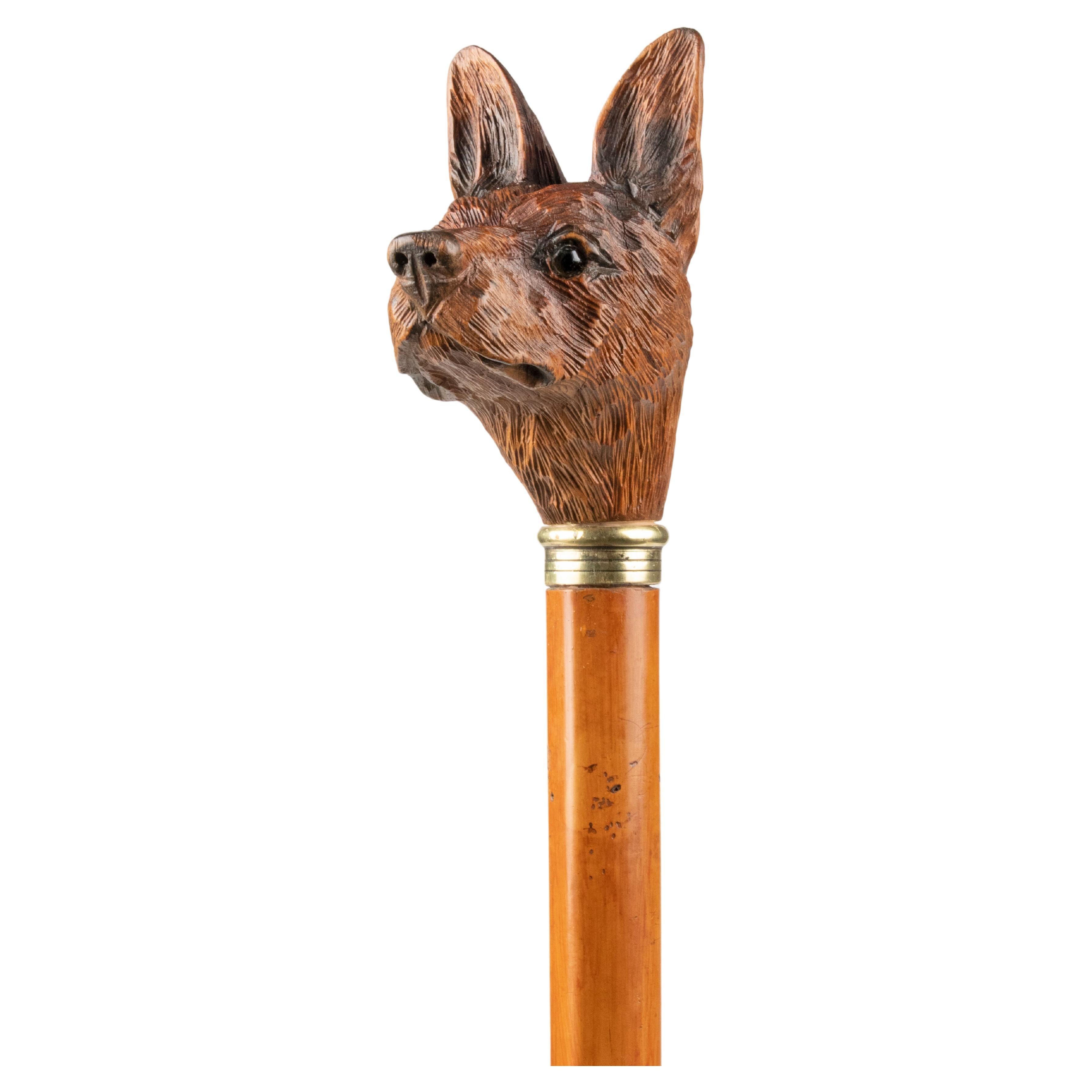 19th Century Walking Stick with a Black Forest Carved top Portrait of a Dog For Sale