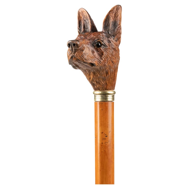 19th Century Walking Stick with a Black Forest Carved top Portrait of a Dog  For Sale at 1stDibs