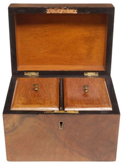 19th Century Walnut and Brass Tea Caddy