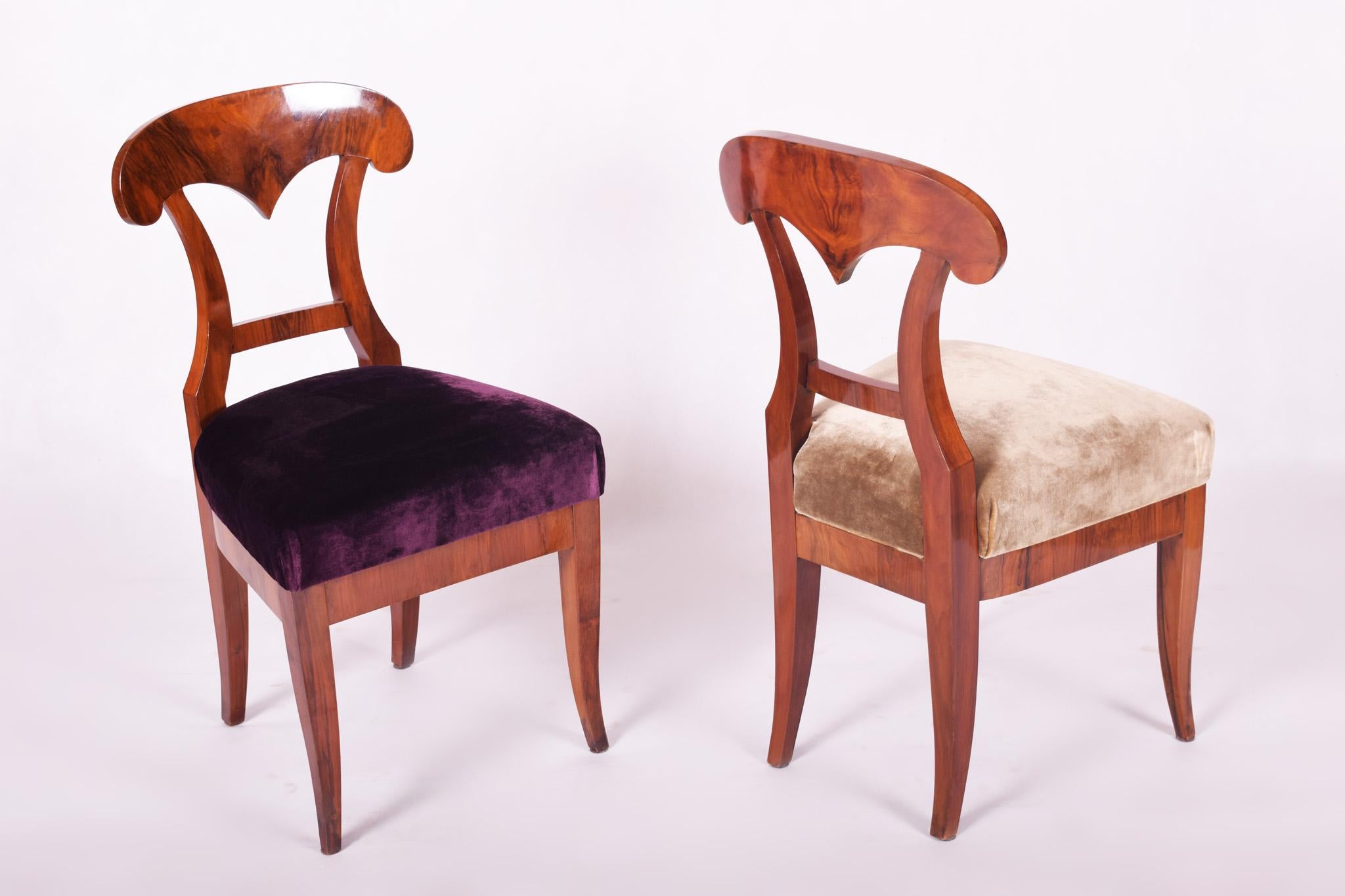 19th Century Walnut Austrian Biedermeier Chairs, 4 Pieces, 1830s, New Upholstery 2