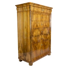 19th Century South German Biedermeier Walnut Chiffoniere with Seven Drawers