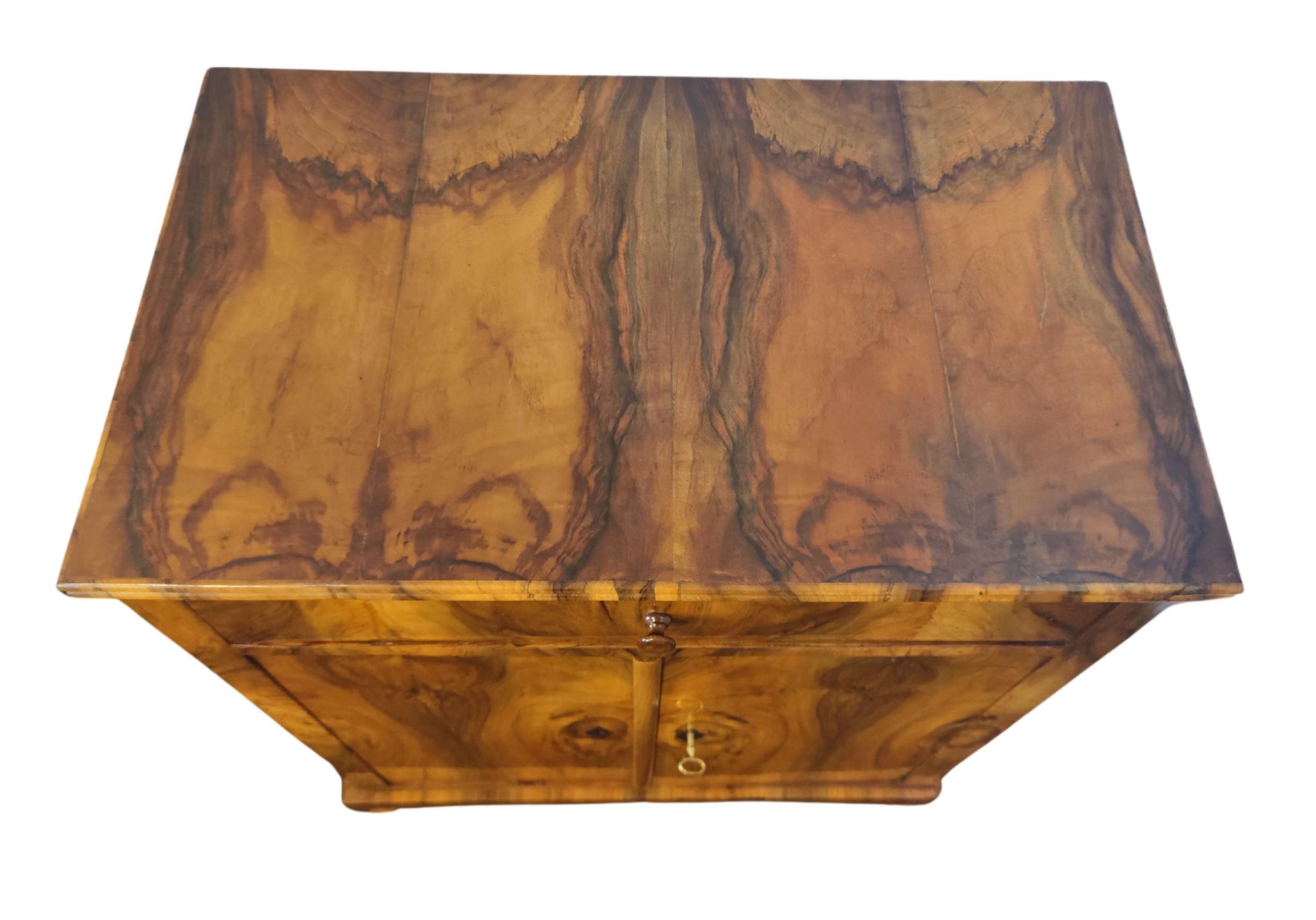 19th Century Walnut Biedermeier Half Cabinet In Good Condition In Darmstadt, DE
