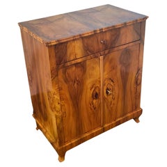 Antique 19th Century Walnut Biedermeier Half Cabinet