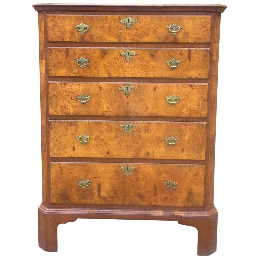 A 19th Century Walnut Chest of Five Graduated Drawers For Sale