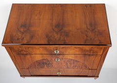 19th Century Walnut Chest of Drawers