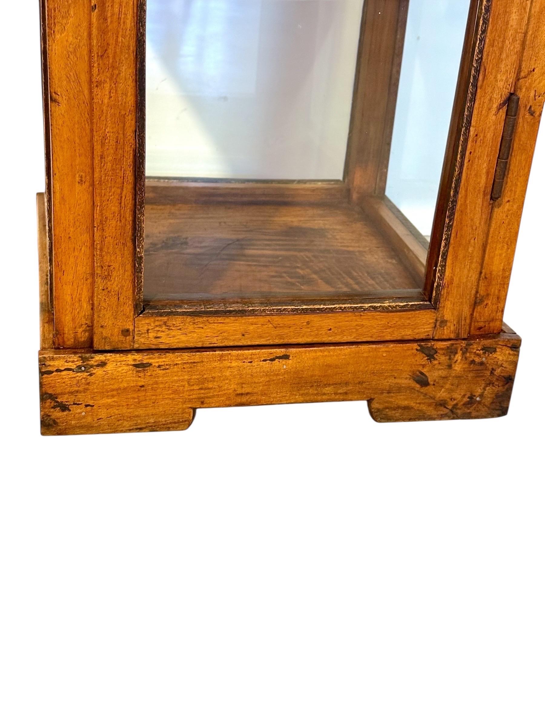 19. Jahrhundert Nussbaum Glas Display Marine Kabinett im Angebot 4
