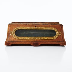 Vitrina Del Siglo XIX Con Monturas De Bronce Dorado