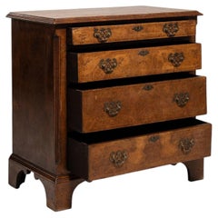 19th Century Walnut Wood Georgian Chest of Drawers