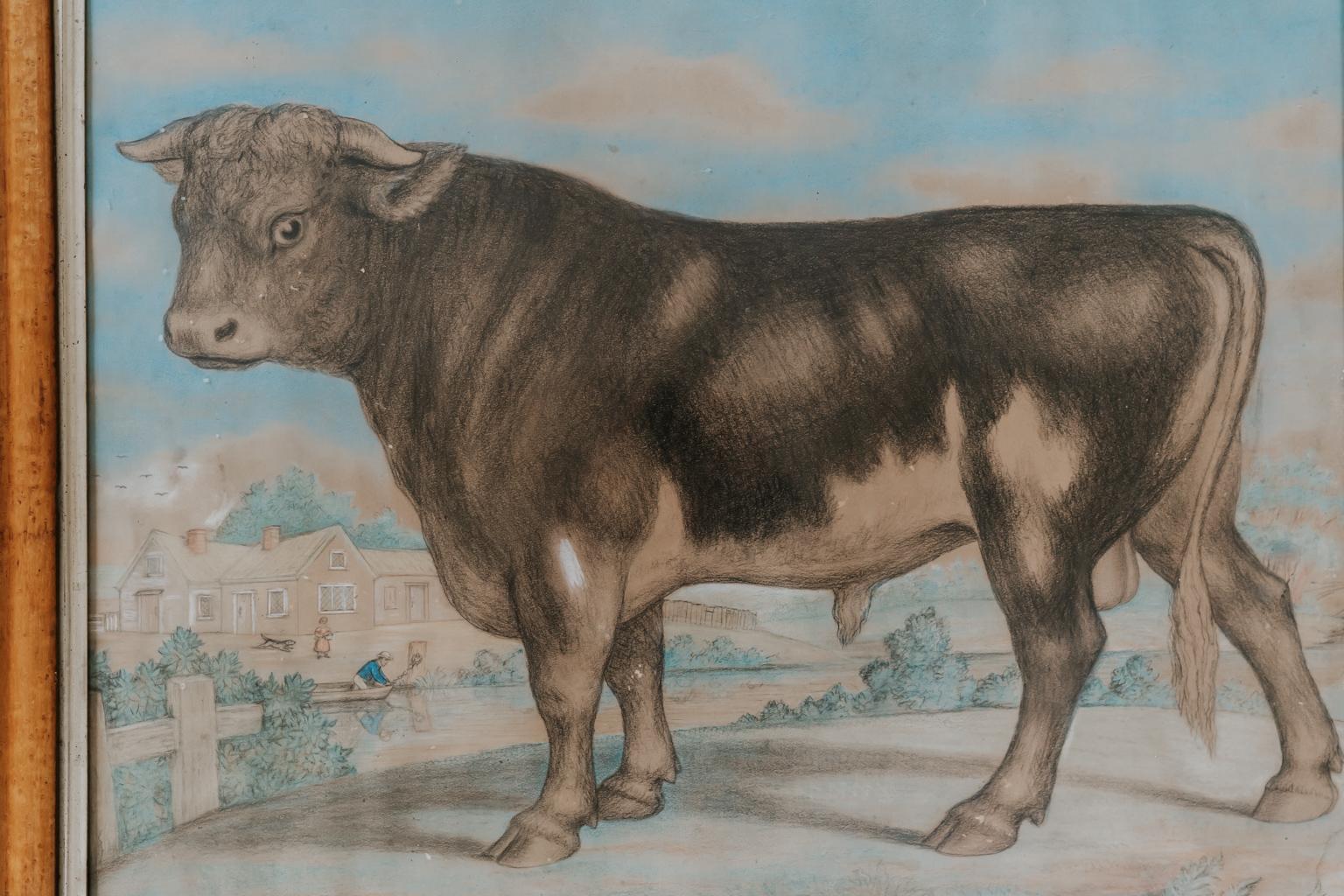Charming and naive 19th century watercolor of a bull in its original bird's-eye maple frame.
 