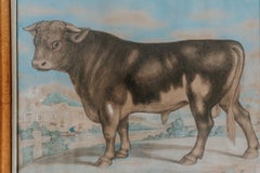 19th Century Watercolor of a Bull