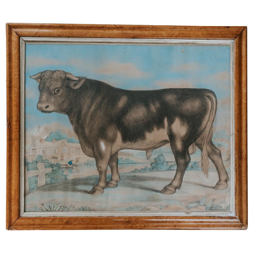 19th Century Watercolor of a Bull For Sale
