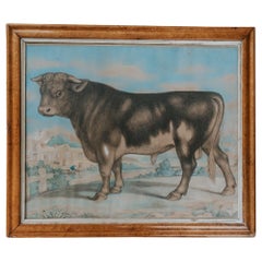 19th Century Watercolor of a Bull