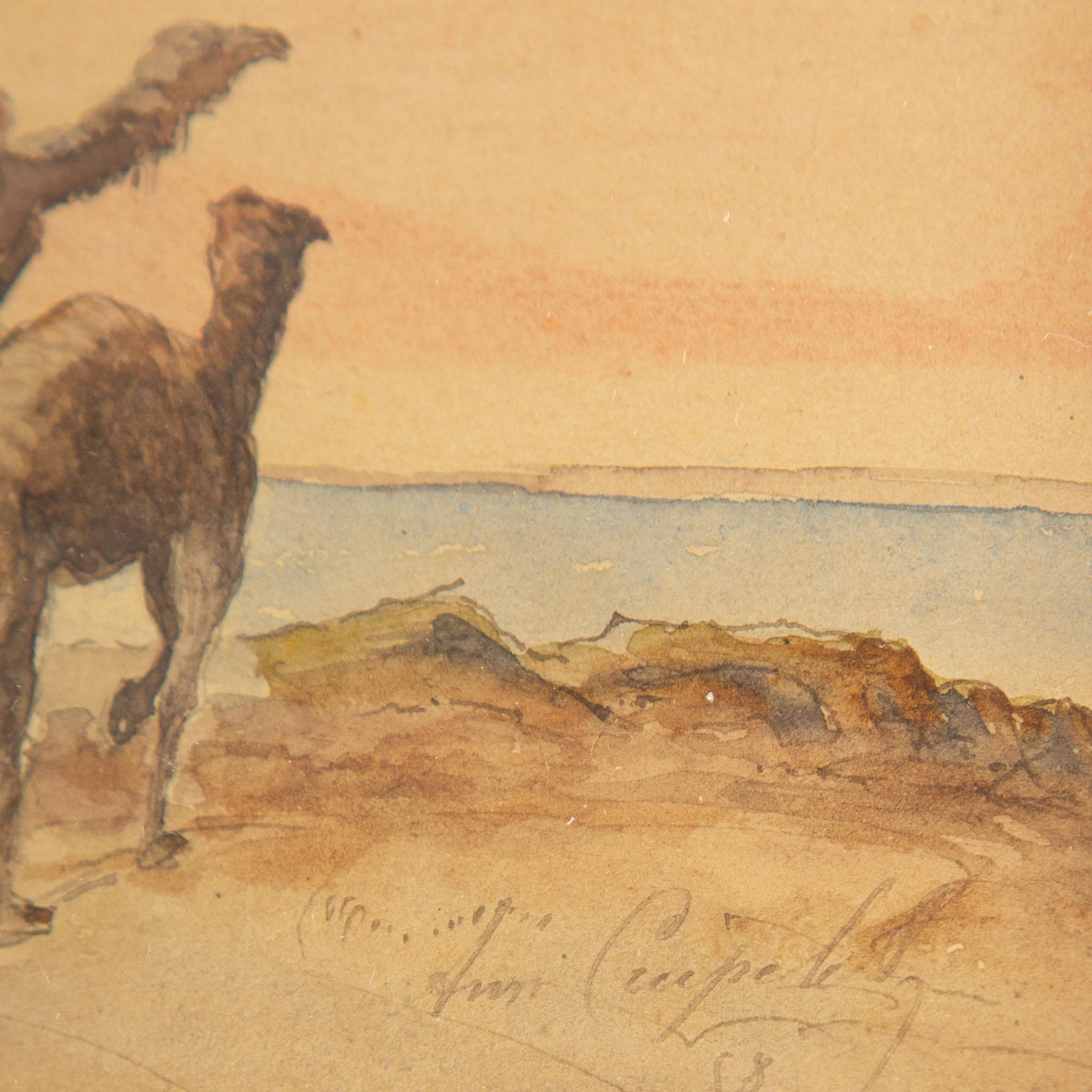 Wood 19th Century Watercolor of Camels & Rider Signed & Dated, Louis Aimable Crapelet For Sale