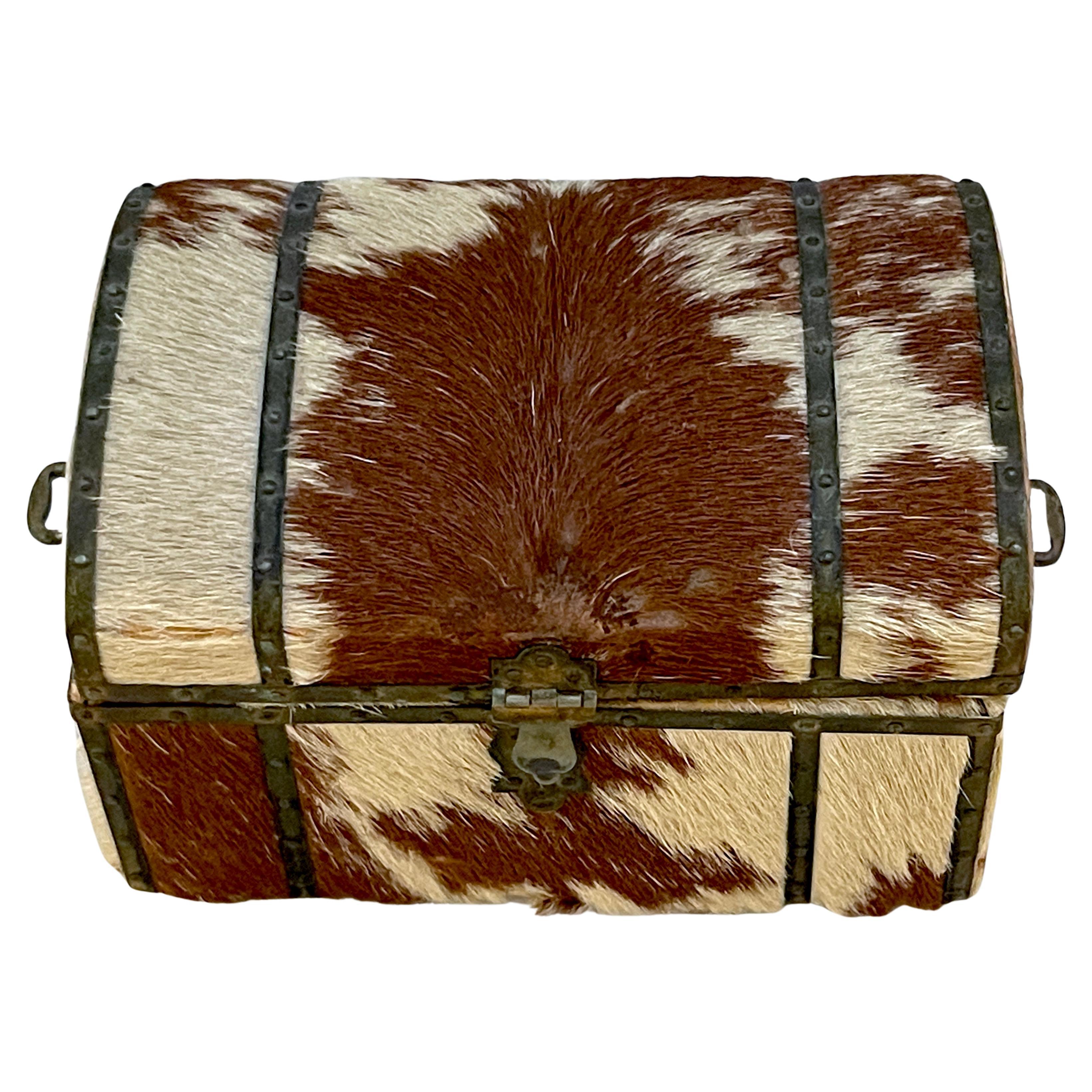 19th Century Western Cowhide Leather & Brass Mounted Domed Box 