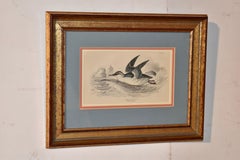 19th Century W.H.Lizars Framed Engraving