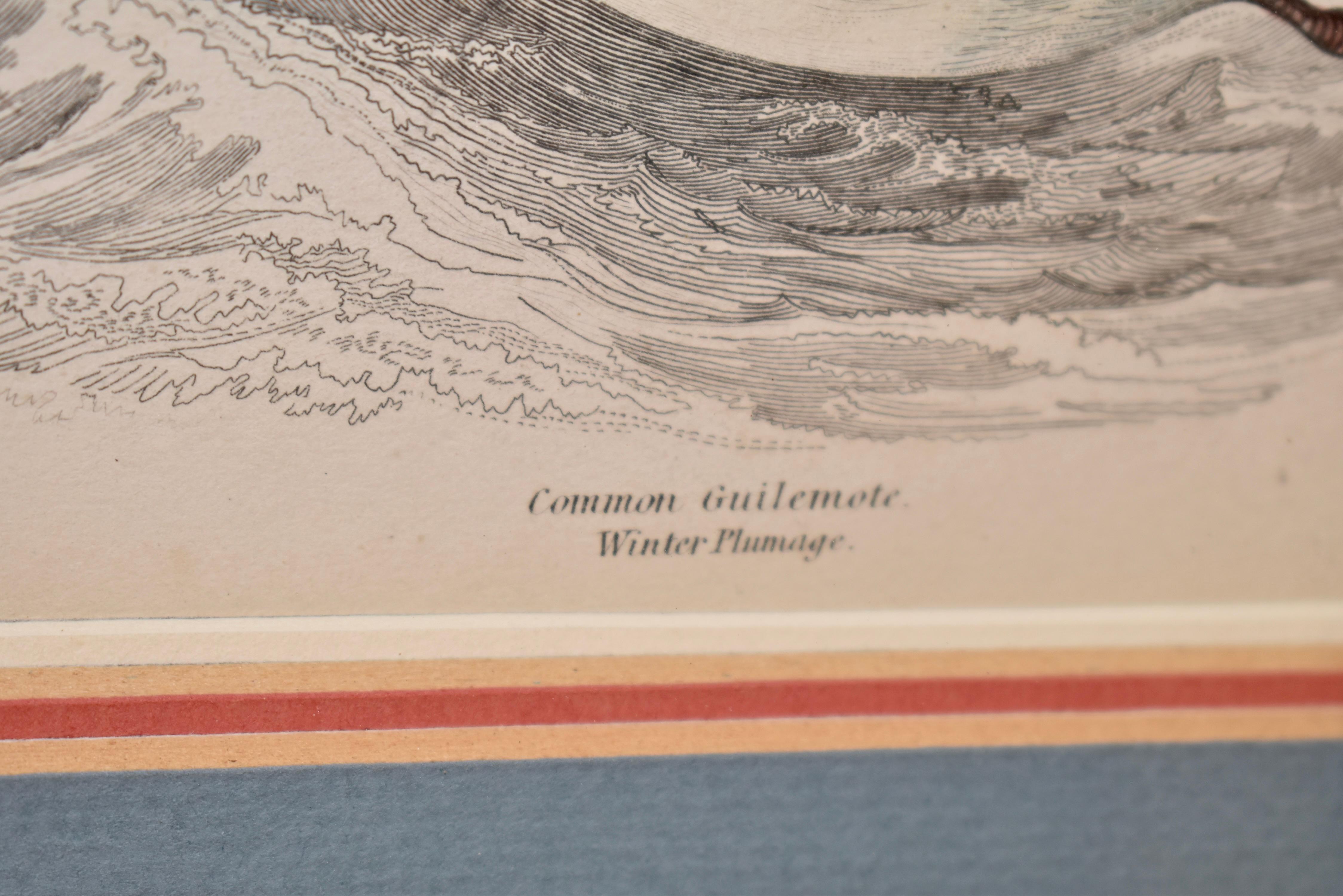 Gravure encadrée W.H.Lizars du 19ème siècle Bon état - En vente à High Point, NC