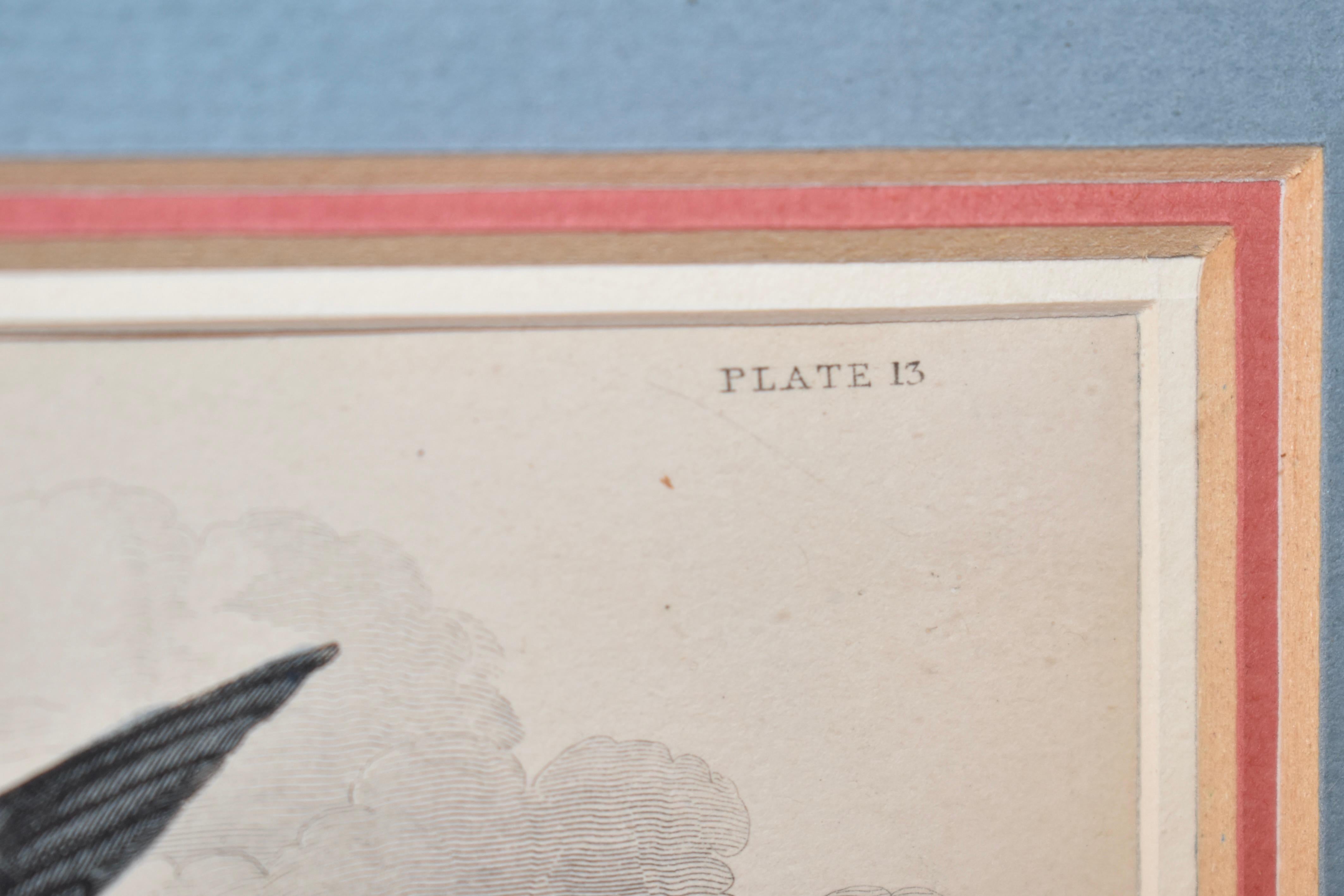 XIXe siècle Gravure encadrée W.H.Lizars du 19ème siècle en vente