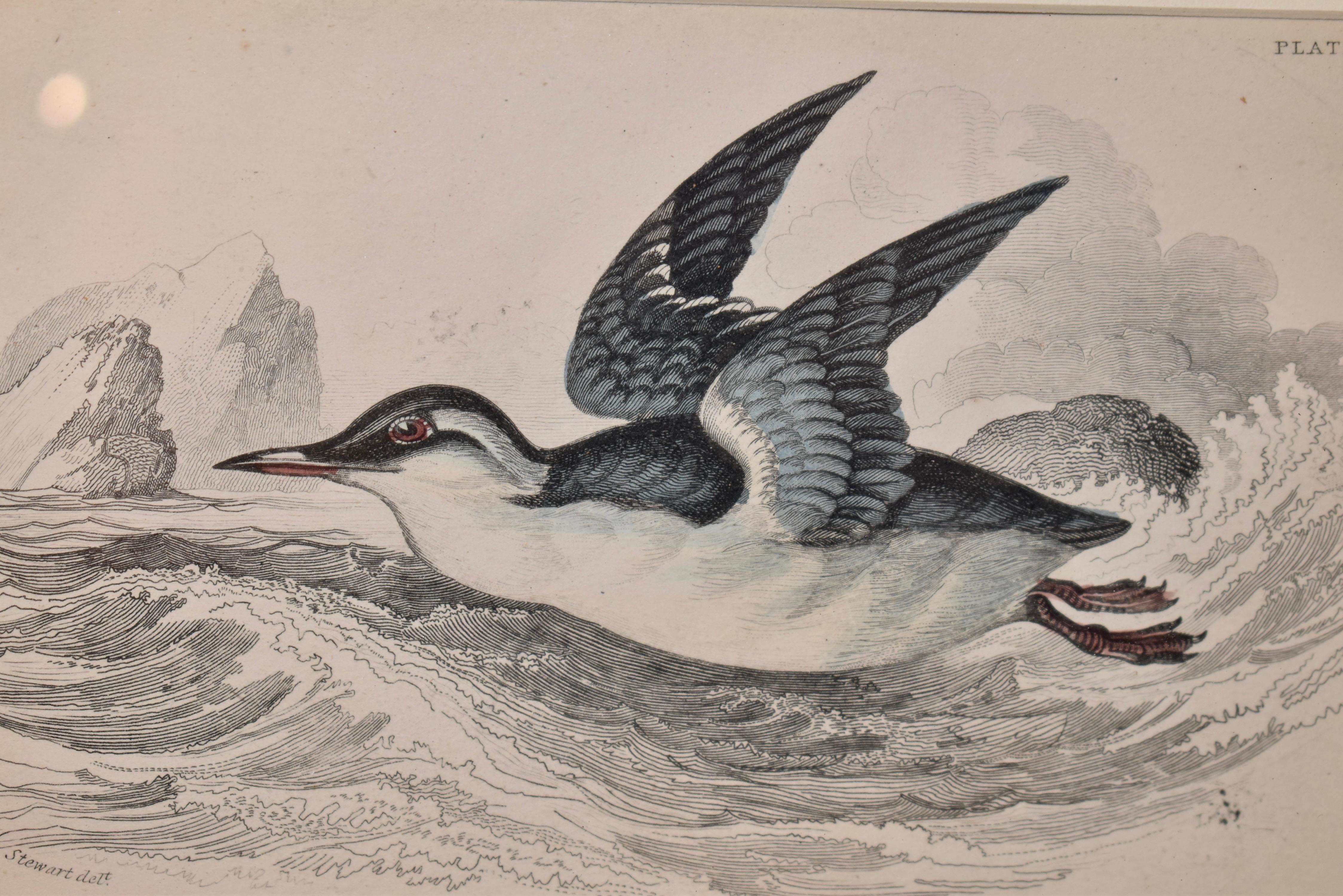 Verre Gravure encadrée W.H.Lizars du 19ème siècle en vente