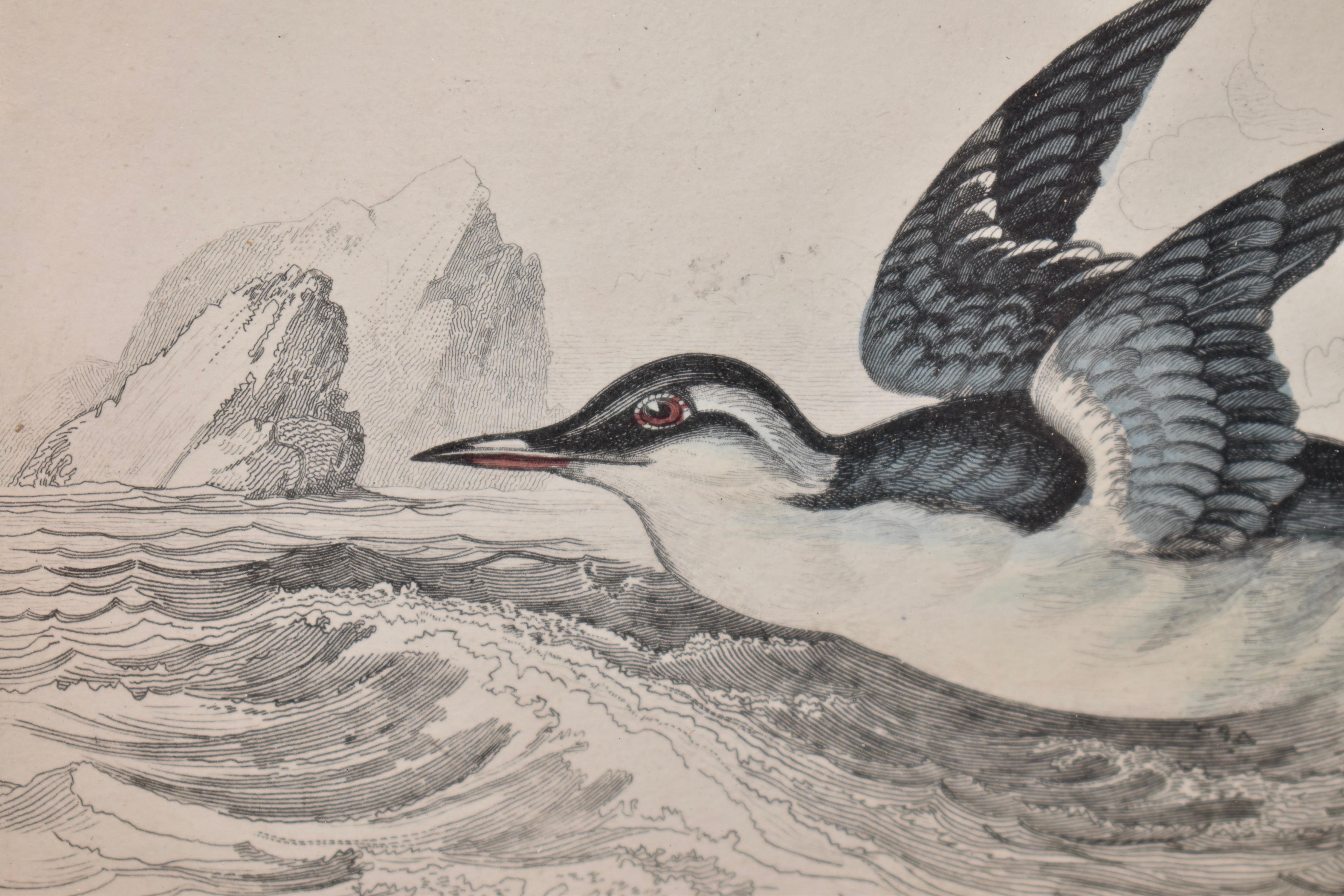 Gravure encadrée W.H.Lizars du 19ème siècle en vente 1