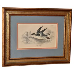 Gravure encadrée W.H.Lizars du 19ème siècle