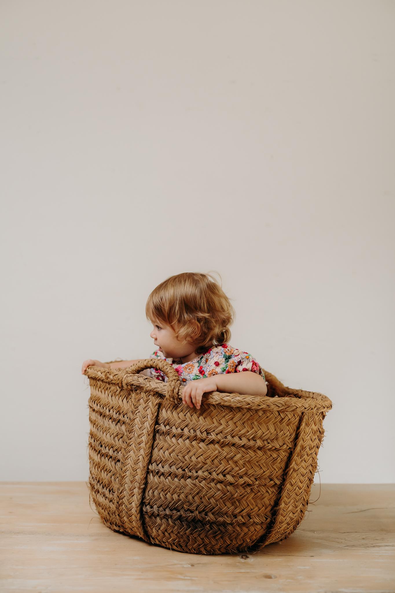 Panier en osier tressé du 19ème siècle ... en vente 1