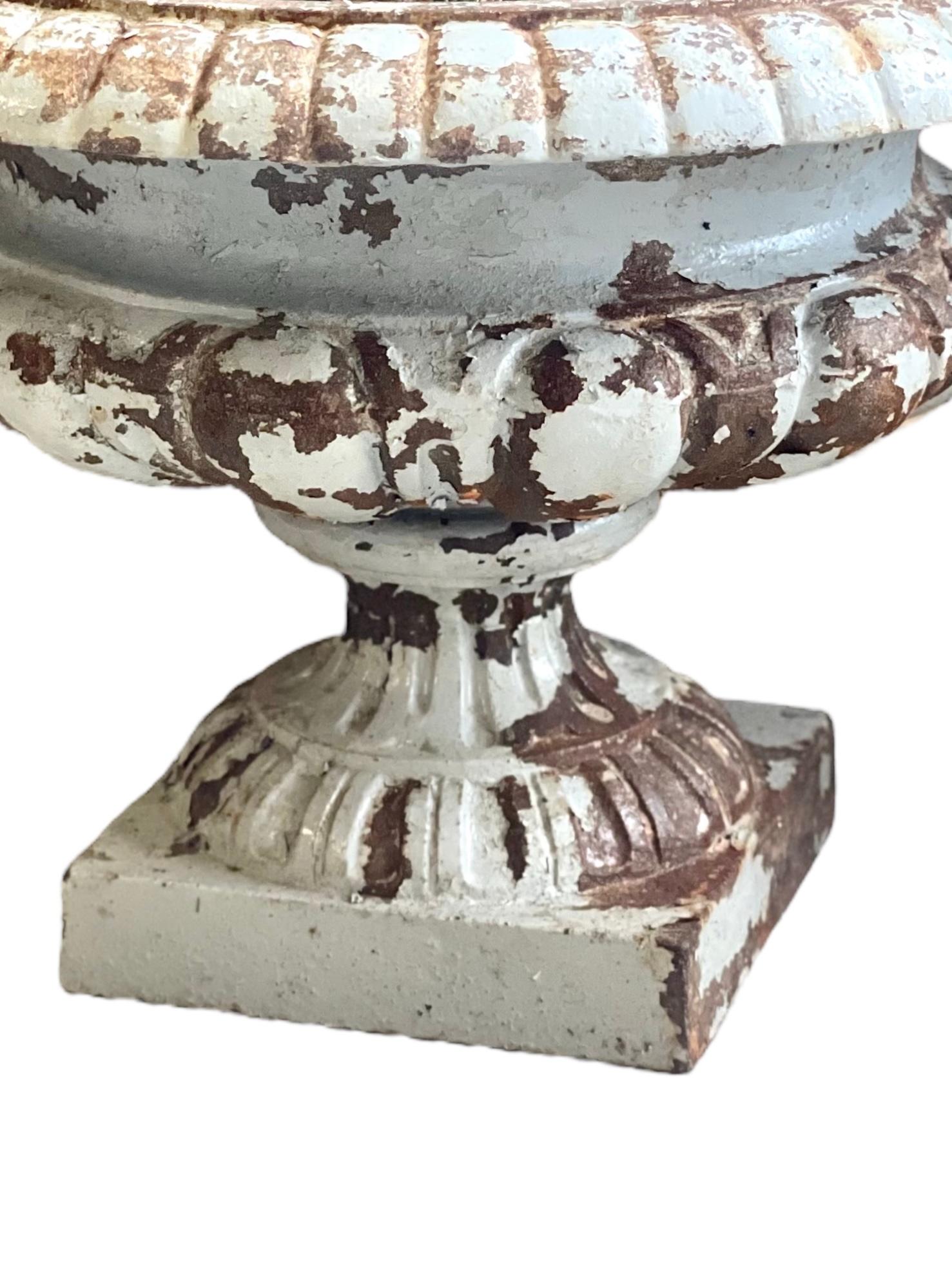 This late 19th century garden planter, in distressed grey lacquered cast iron, sits on a solid square base over a pedestal carved gadrooned shaped basin, embellished with a wide flared and fluted rim at the top. This urn is in excellent condition