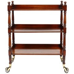 19th Century William IV Buffet or Dumb Waiter
