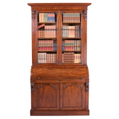 Antique 19th Century William IV Period Irish Cylinder Secretaire Bookcase