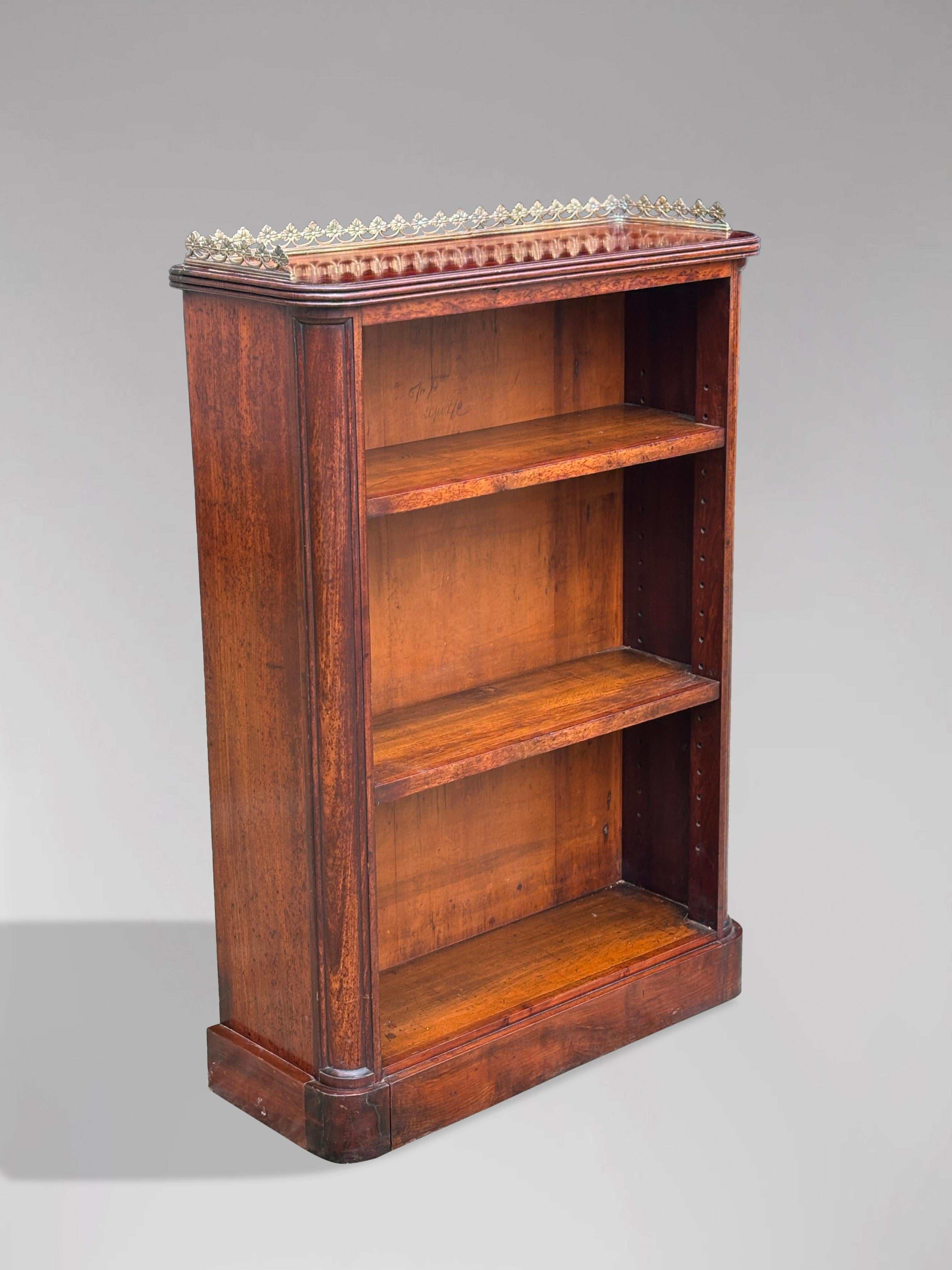 Wood 19th Century William IV Period Open Low Bookcase For Sale