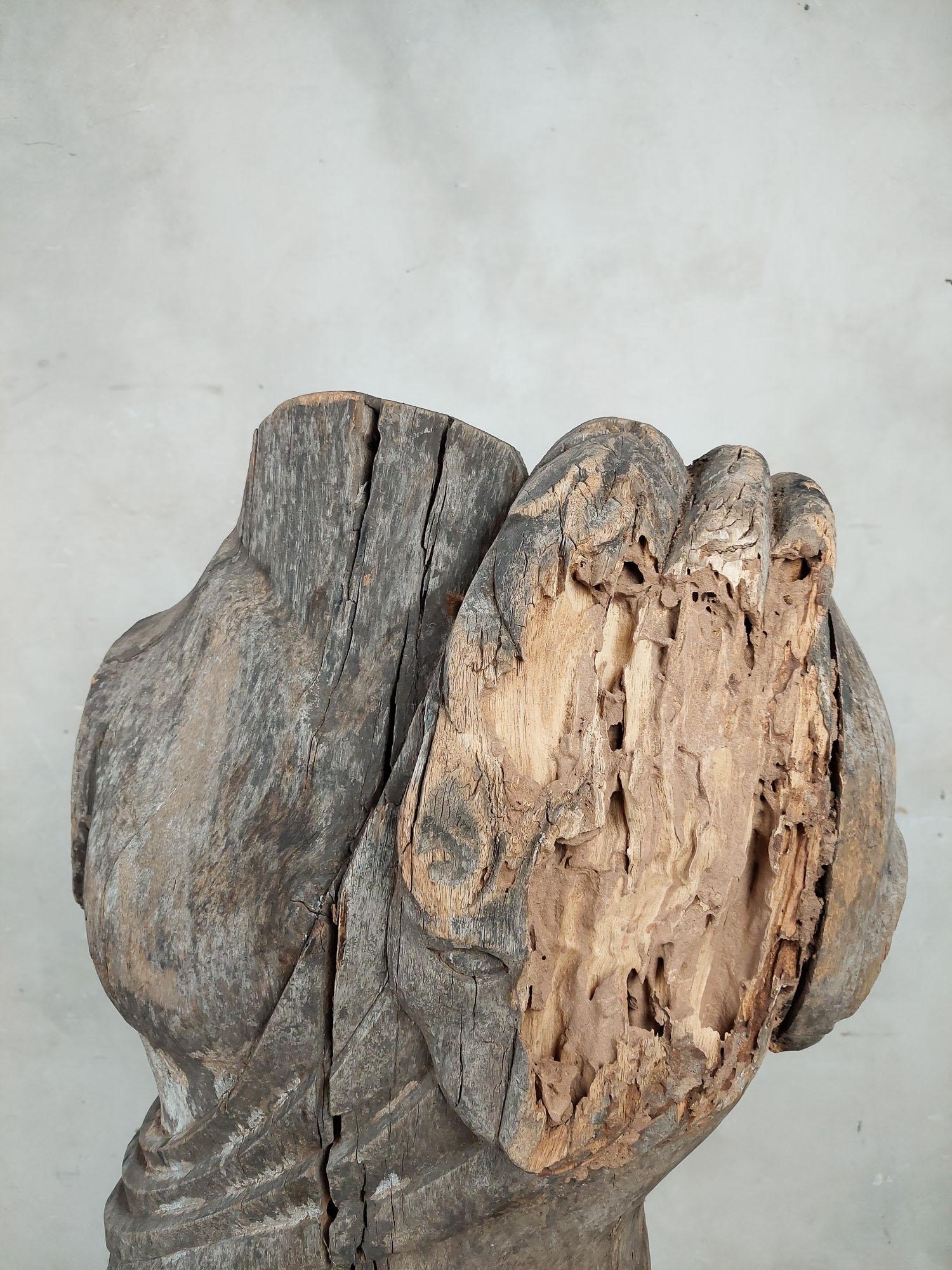 Sculpture en bois du 19e siècle représentant un torse d'homme en vente 1