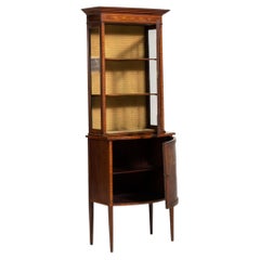 19th Century Wood Edwardian Inlaid Mahogany Vitrine