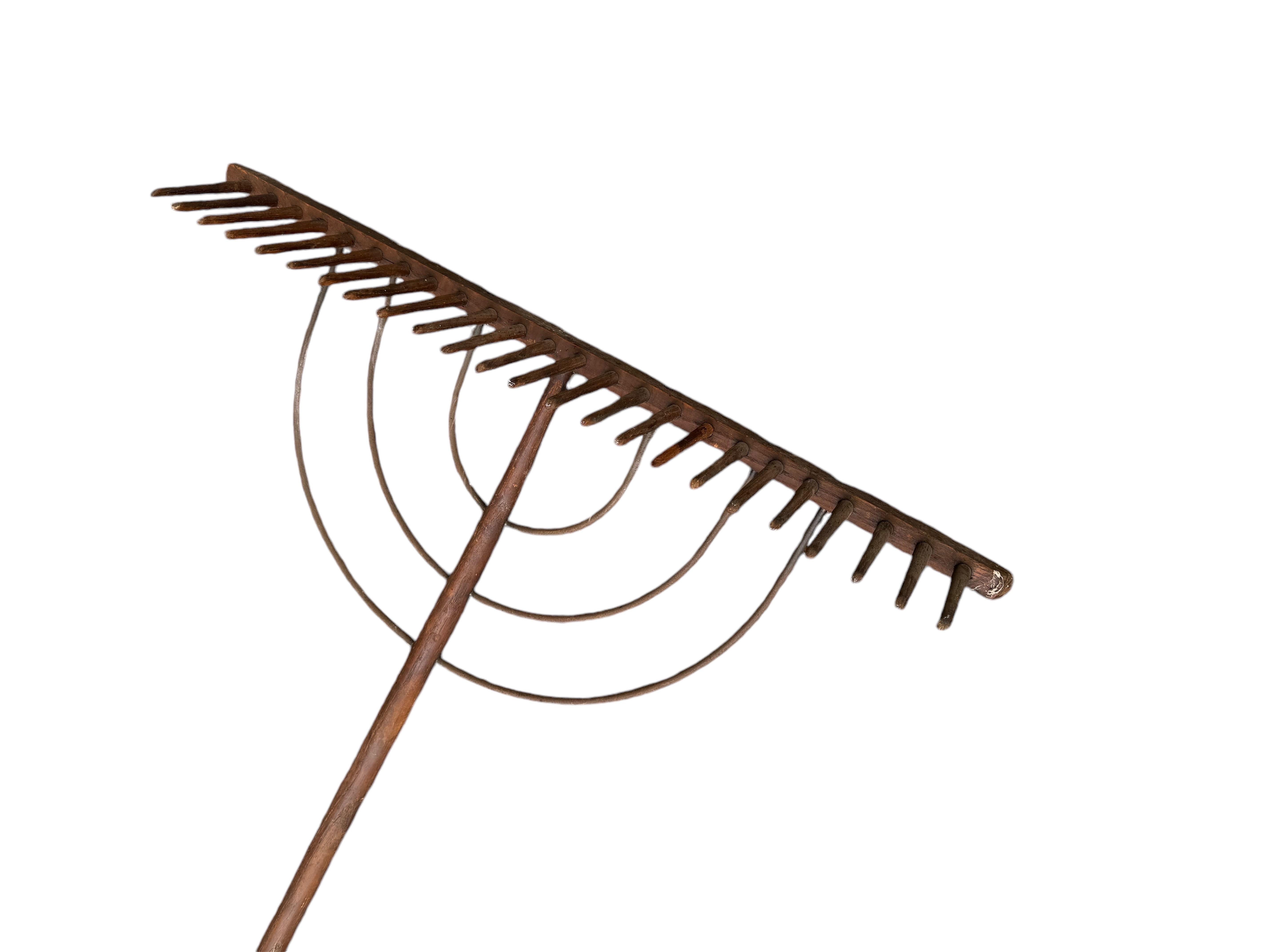 19th Century Wood Hay Rake For Sale 1