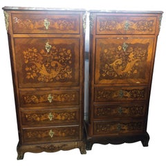 19th Century Wood Louis XVI Revival Rosewood Pair of France Secretaire, 1880s