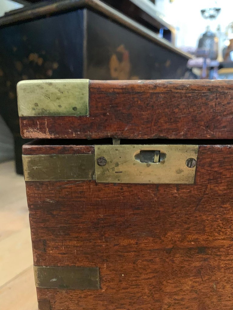 19th Century Wood Specimen Box at 1stDibs