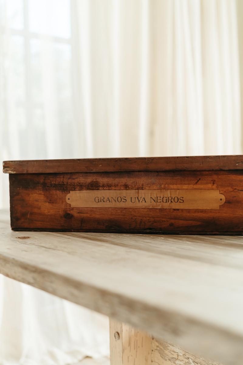 Boîte en bois du 19e siècle  Bon état - En vente à Brecht, BE