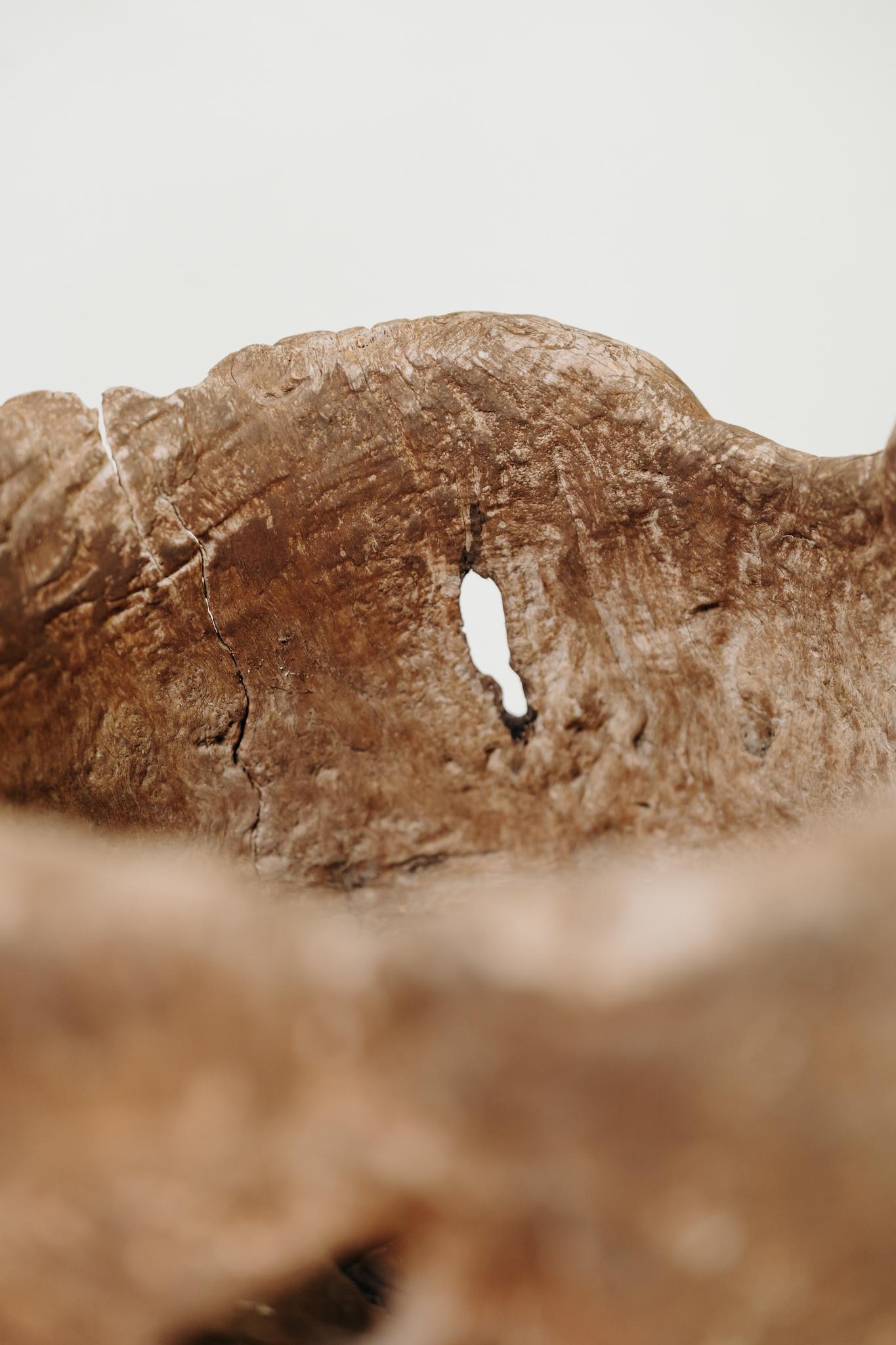 Spanish 19th century  wooden root bowl For Sale