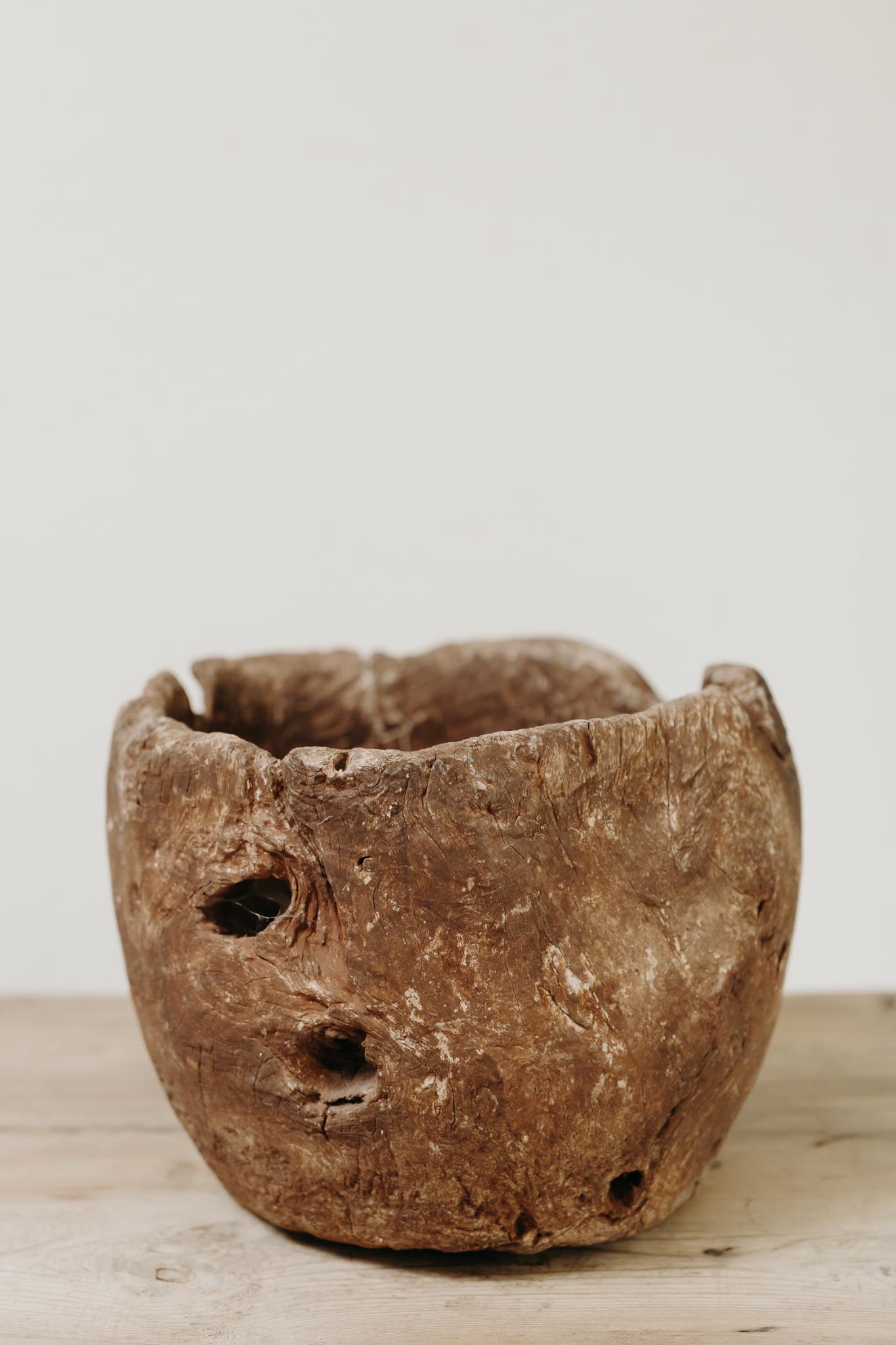 Chestnut 19th century  wooden root bowl For Sale