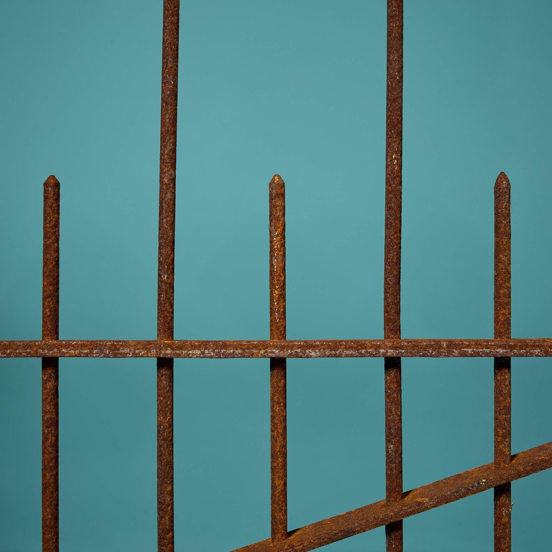 Metal 19th Century Wrought Iron Garden Side Gate For Sale
