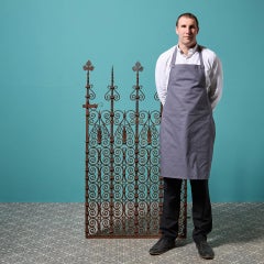 19th Century Wrought Iron Screen Gate