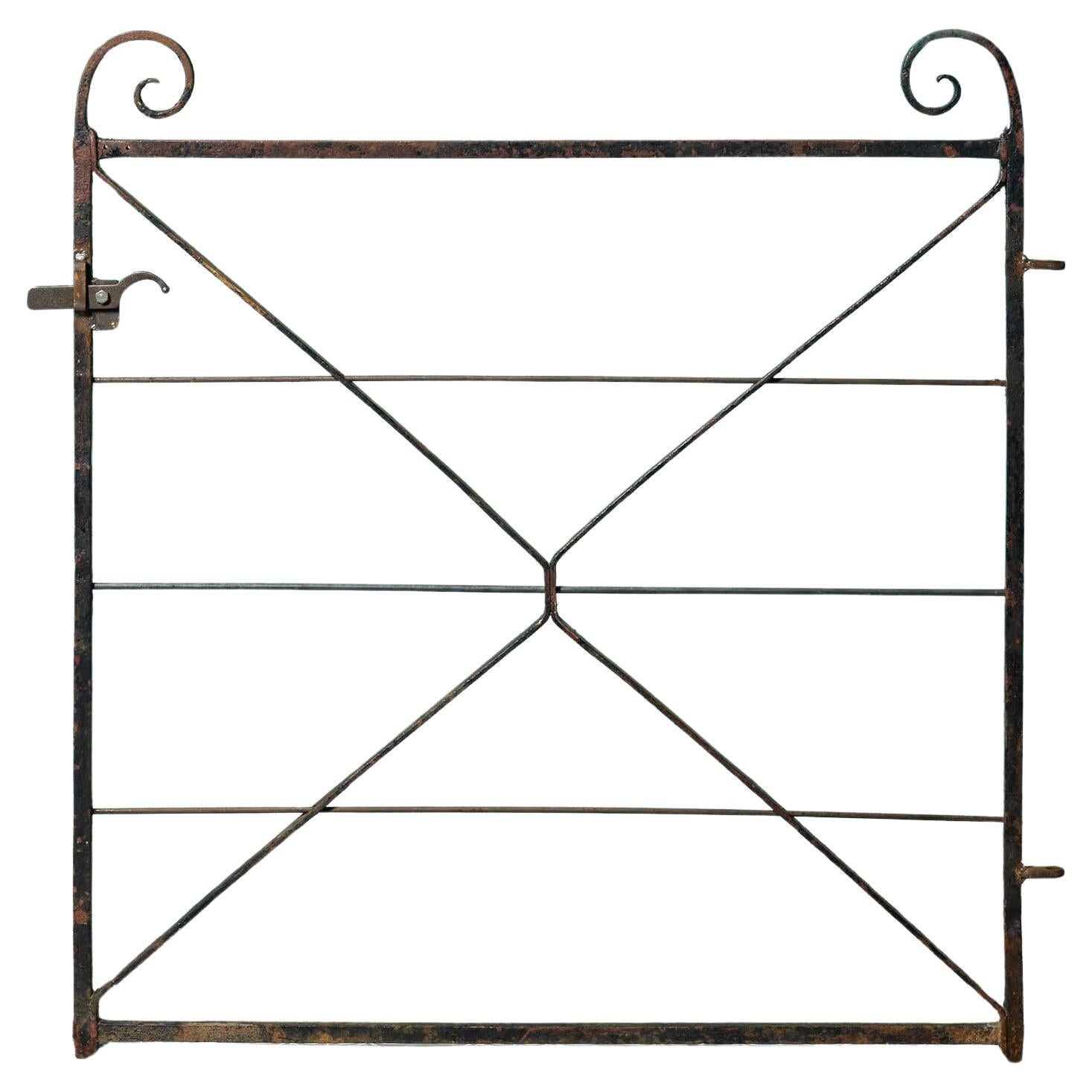 19th Century Wrought Iron Side Gate