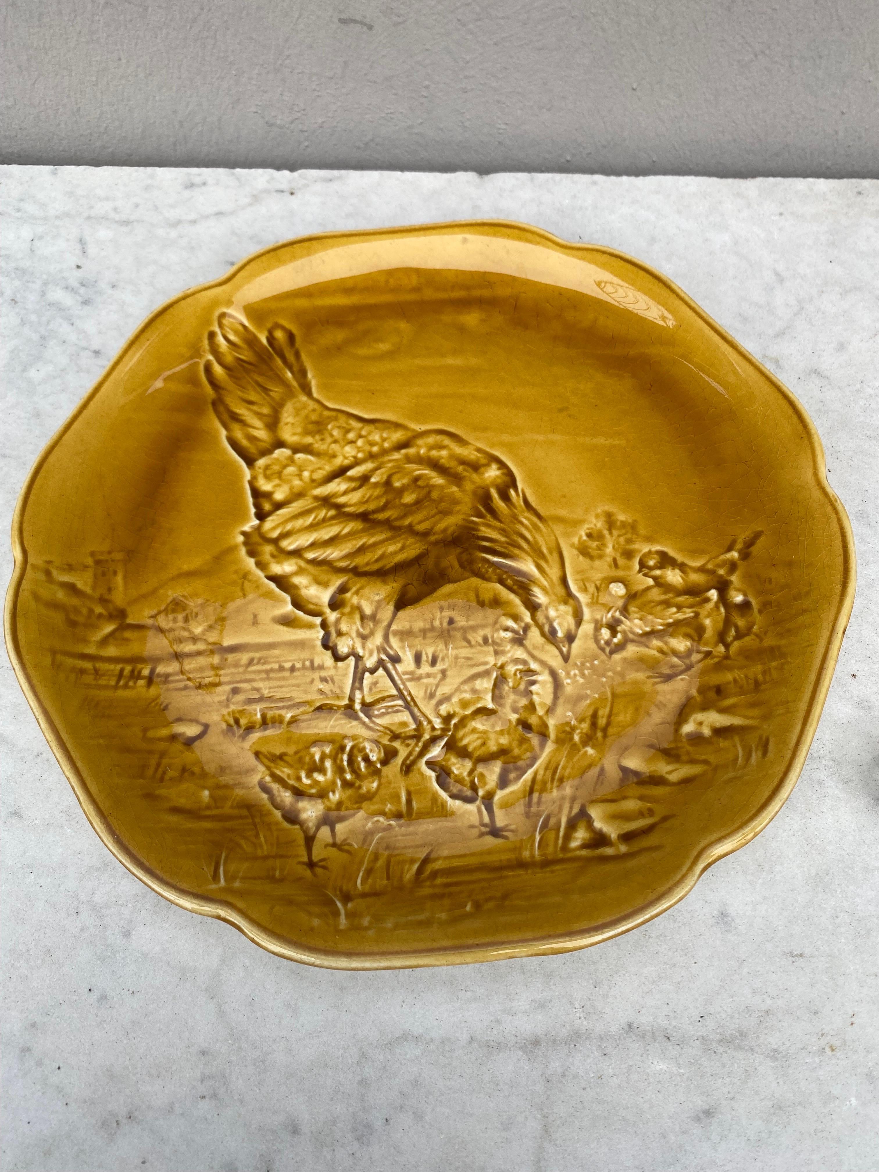 Country 19th Century Yellow Majolica Hen & Chicks Plate Choisy Le Roi